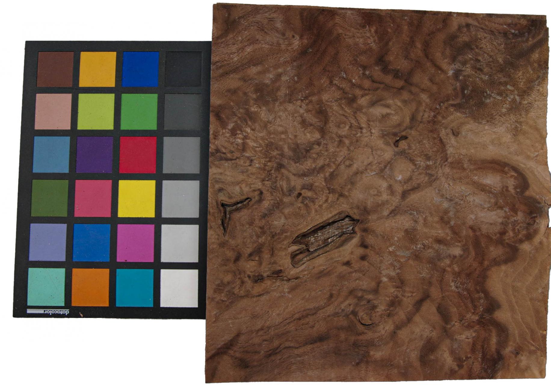 Californian Walnut Burl, - veneer (1,8mm) - 0,42m² (8pcs. x 22cm x 24cm)