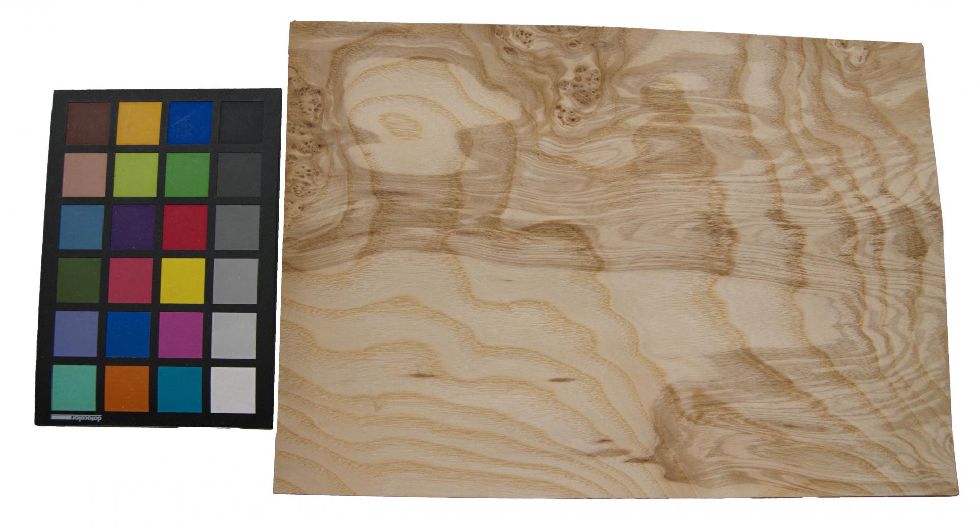 Esche Maser; oliv -Furnier (0,6mm) - 0,81m² (8Stk. x 38cm x 26,5cm)
