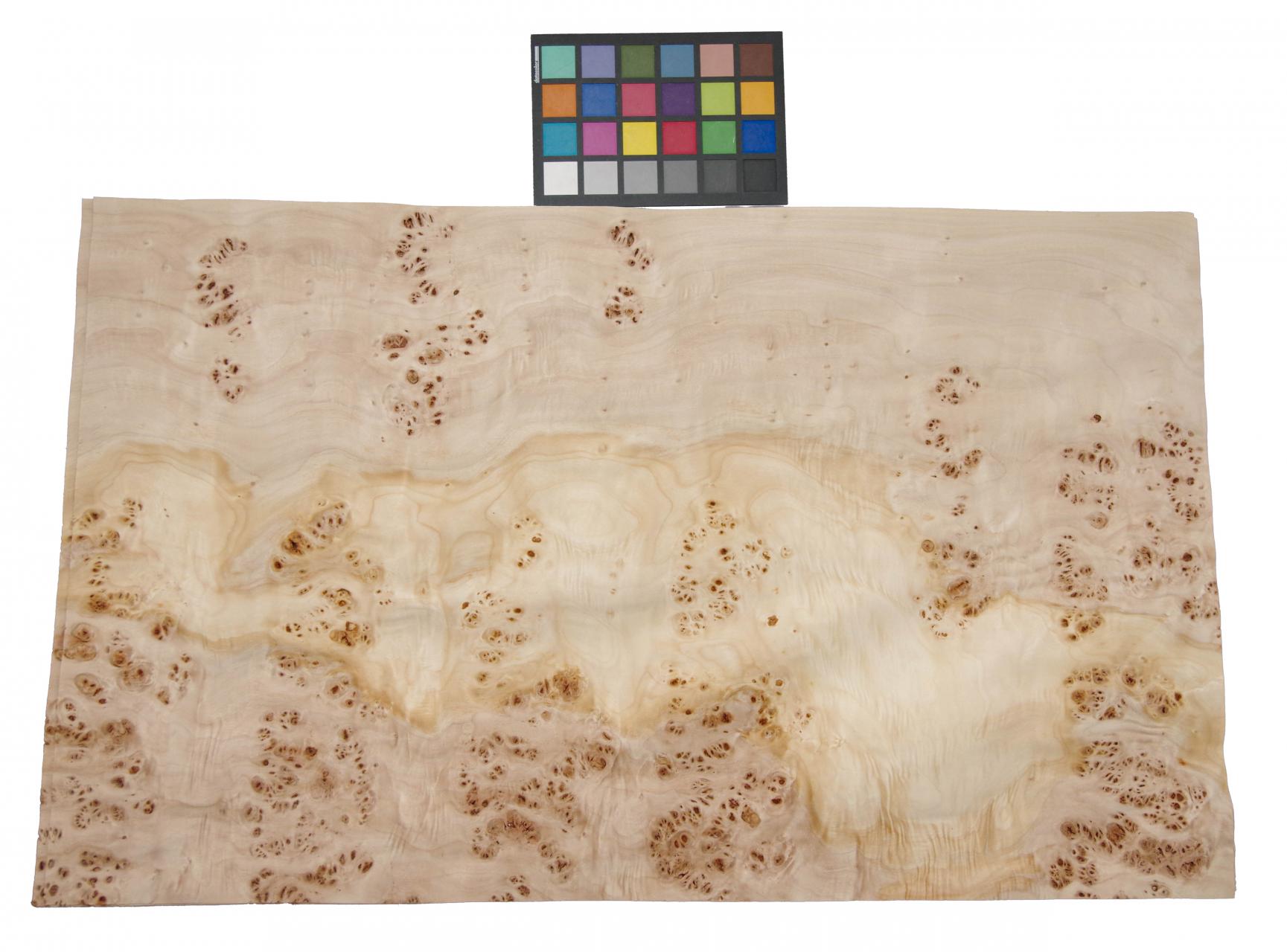 Mapa Burl, - veneer (0,6mm) - 8,14m² (19pcs. x 84cm x 51cm)