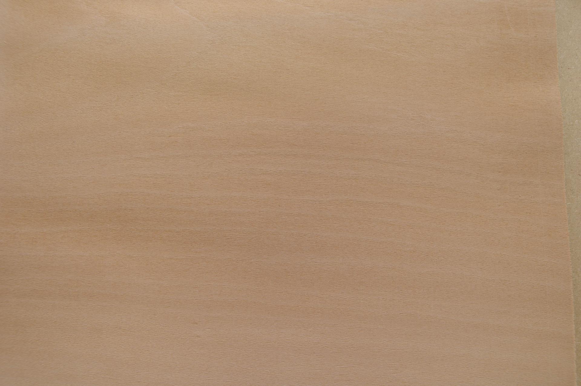 0.6mm Platane Furnier 1.48m² R 17 30 29