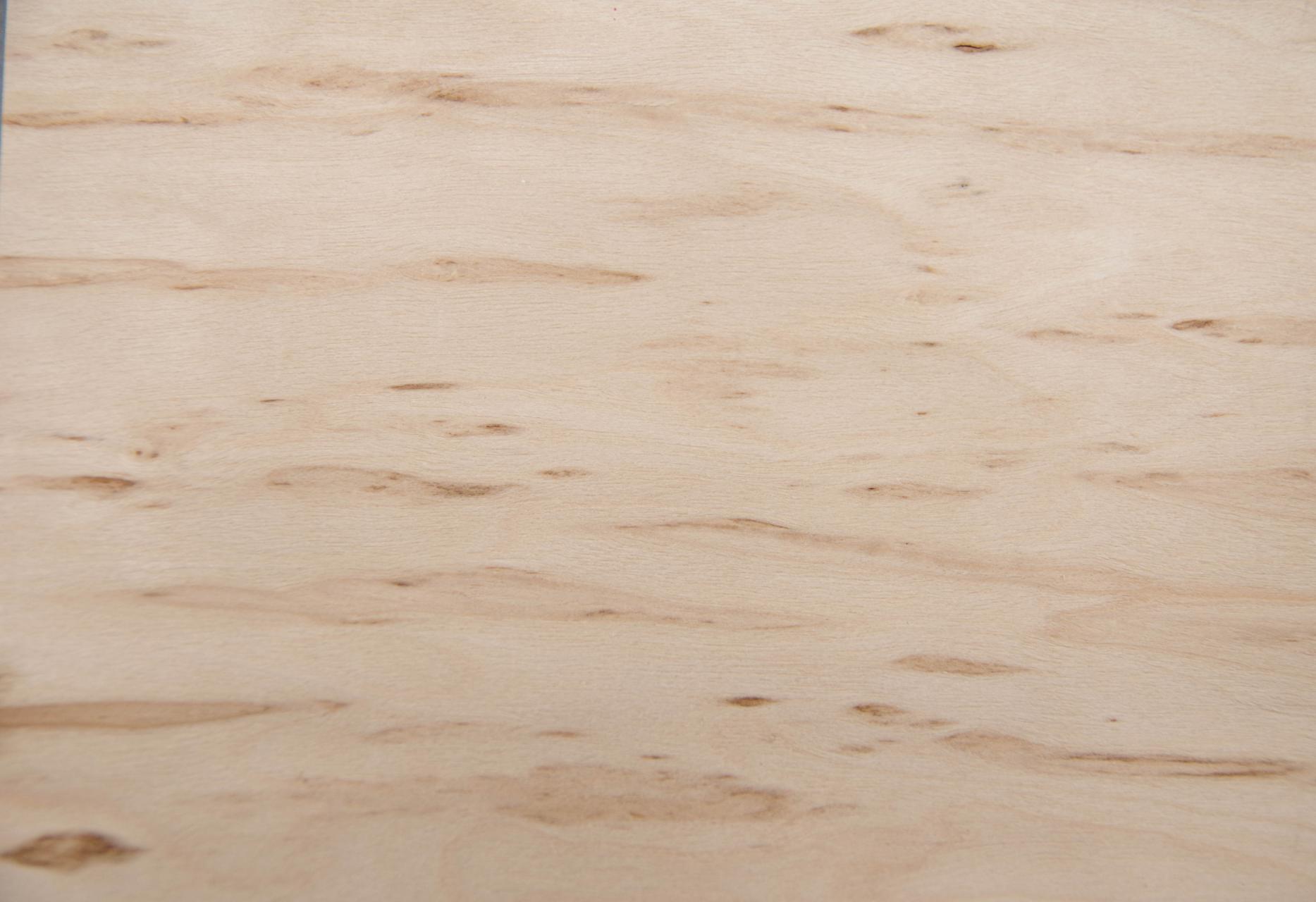 Birke Maser -Furnier (0,6mm) - 0,09m² (6Stk. x 14cm x 11cm)