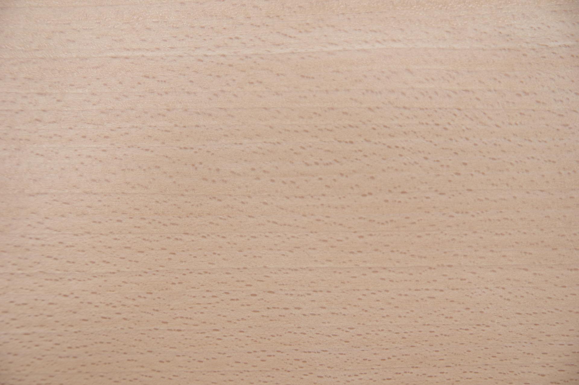 Buche -Furnier (0,6mm) - 4,18m² (24Stk. x 116cm x 15cm)