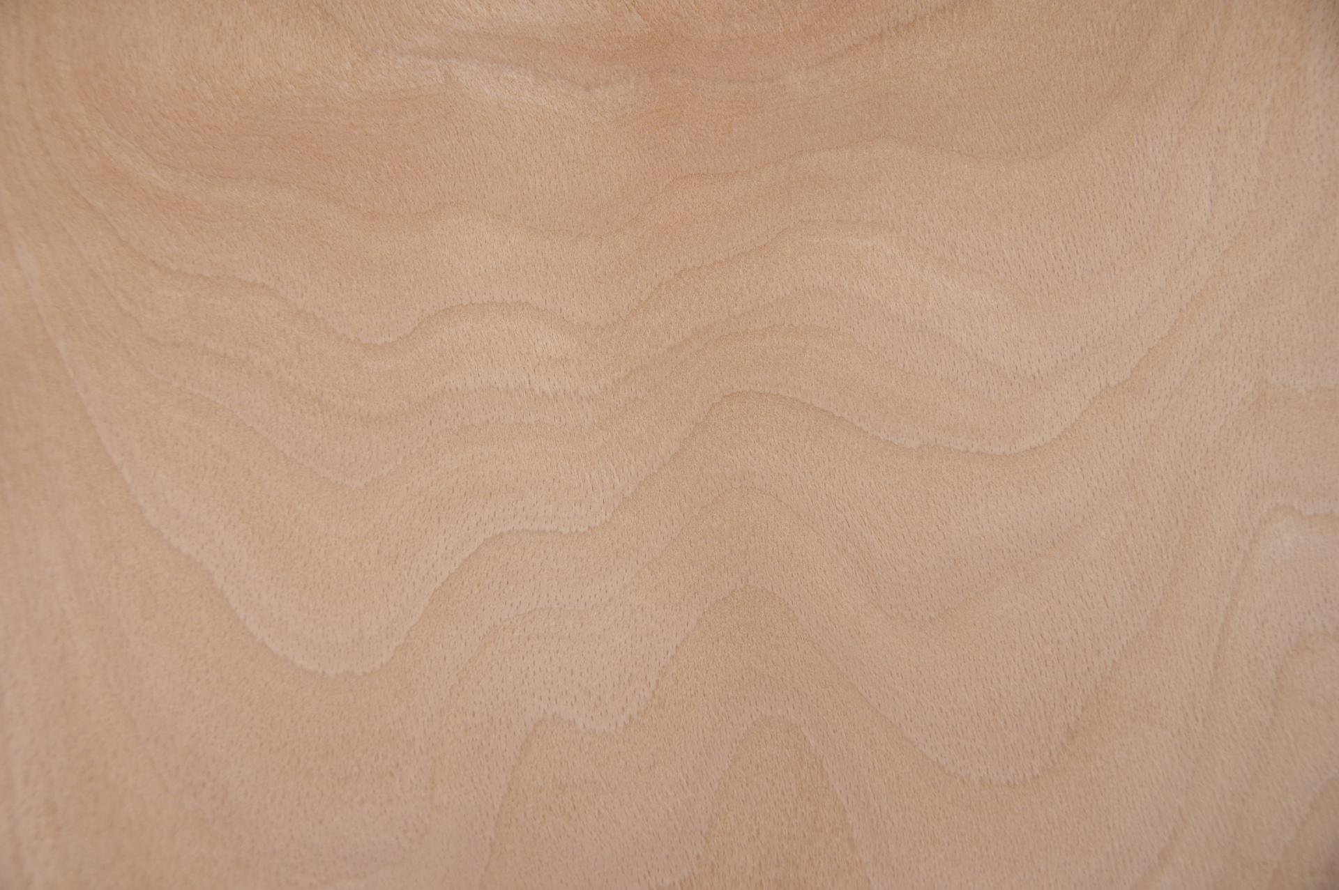 Buche -Furnier (2,4mm) - 0,42m² (8Stk. x 17cm x 31cm)