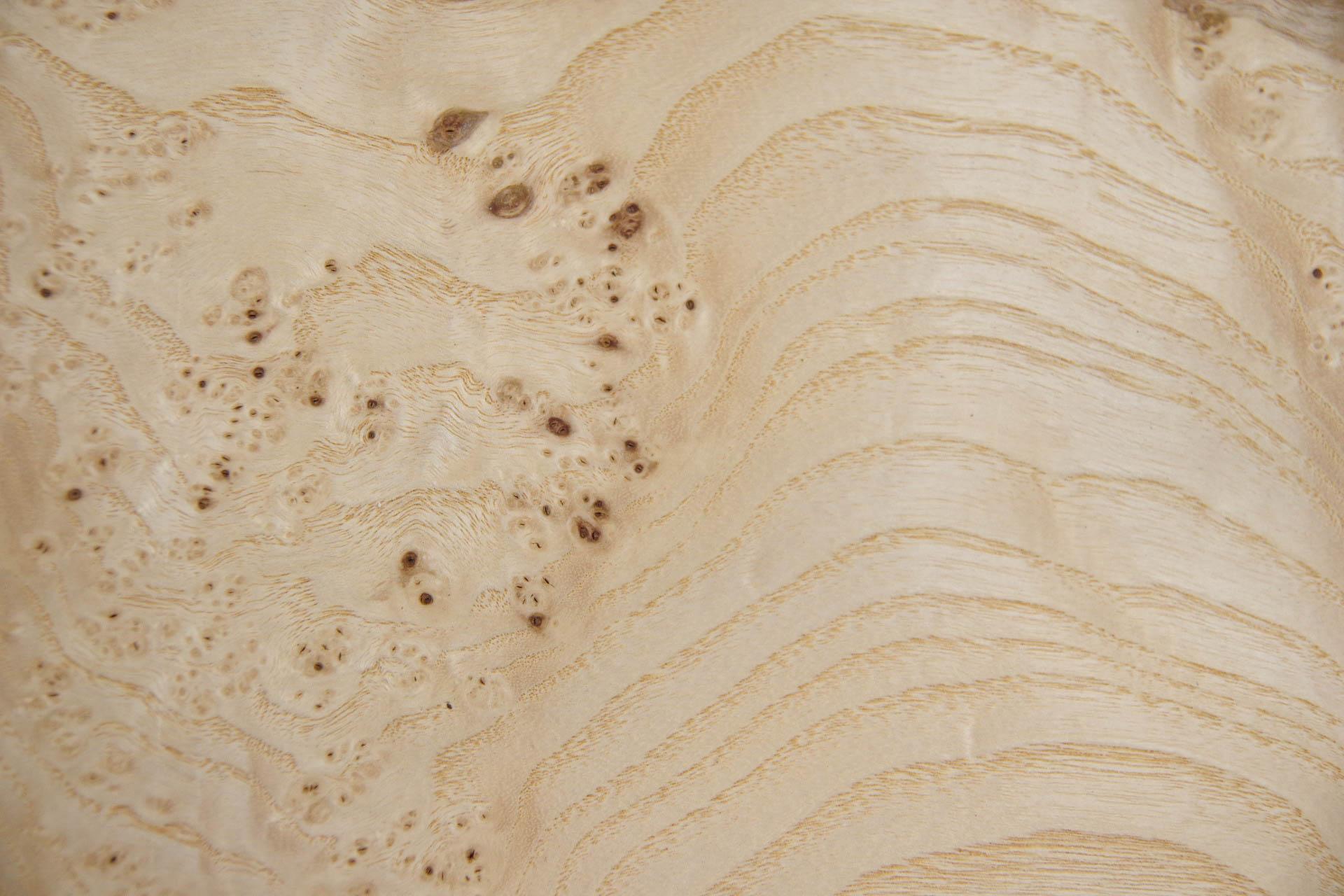 Esche Maser; oliv -Furnier (0,6mm) - 1m² (17Stk. x 28cm x 21cm)