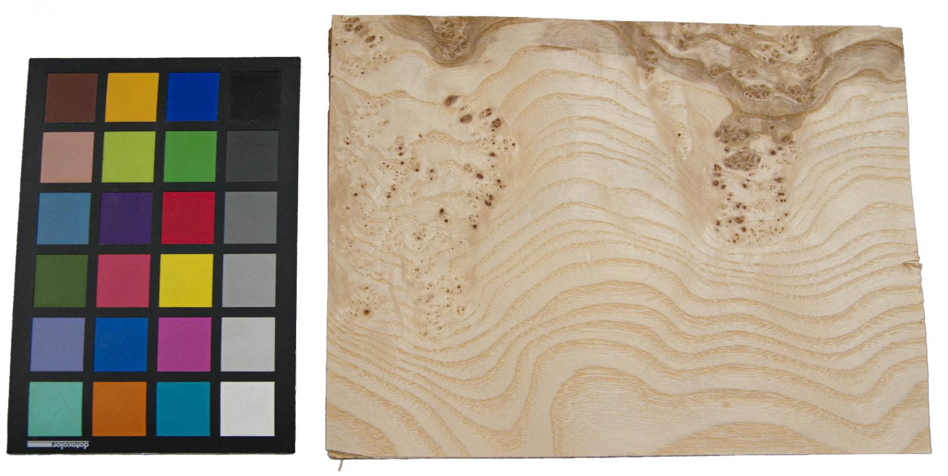 Esche Maser; oliv -Furnier (0,6mm) - 1m² (17Stk. x 28cm x 21cm)