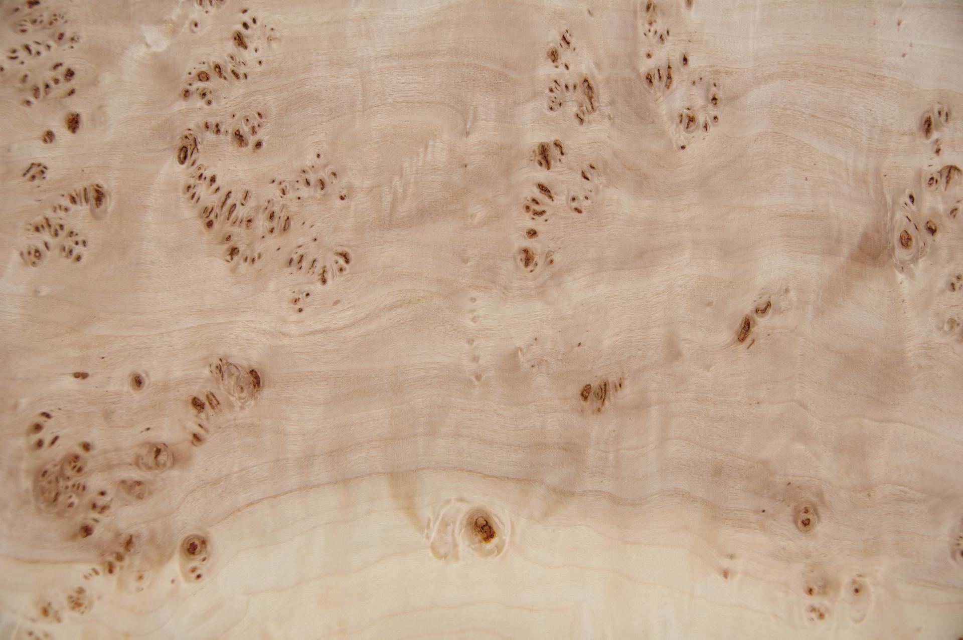 Mapa Burl, - veneer (0,6mm) - 5,44m² (24pcs. x 63cm x 36cm)