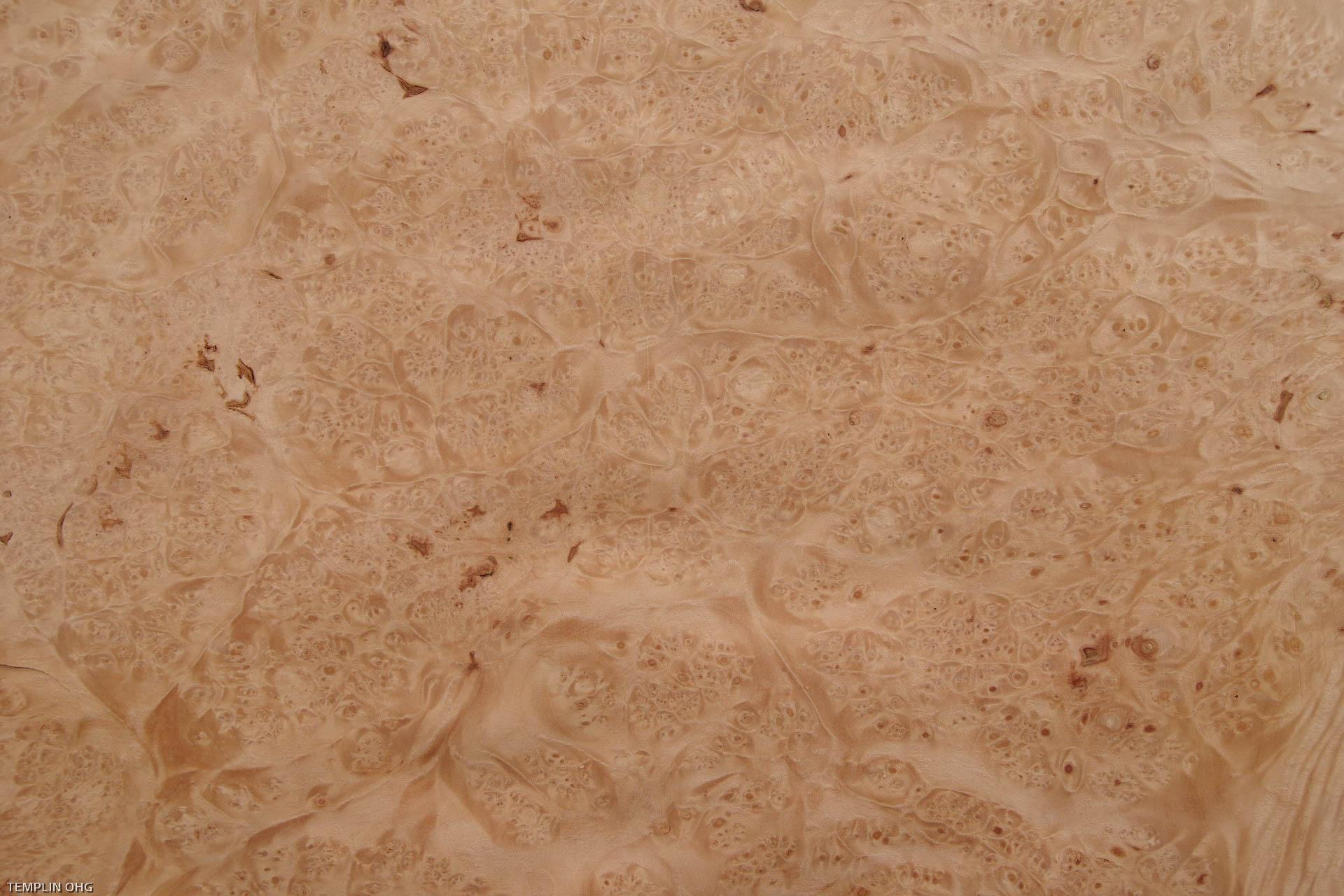 Maple Burl, veneer