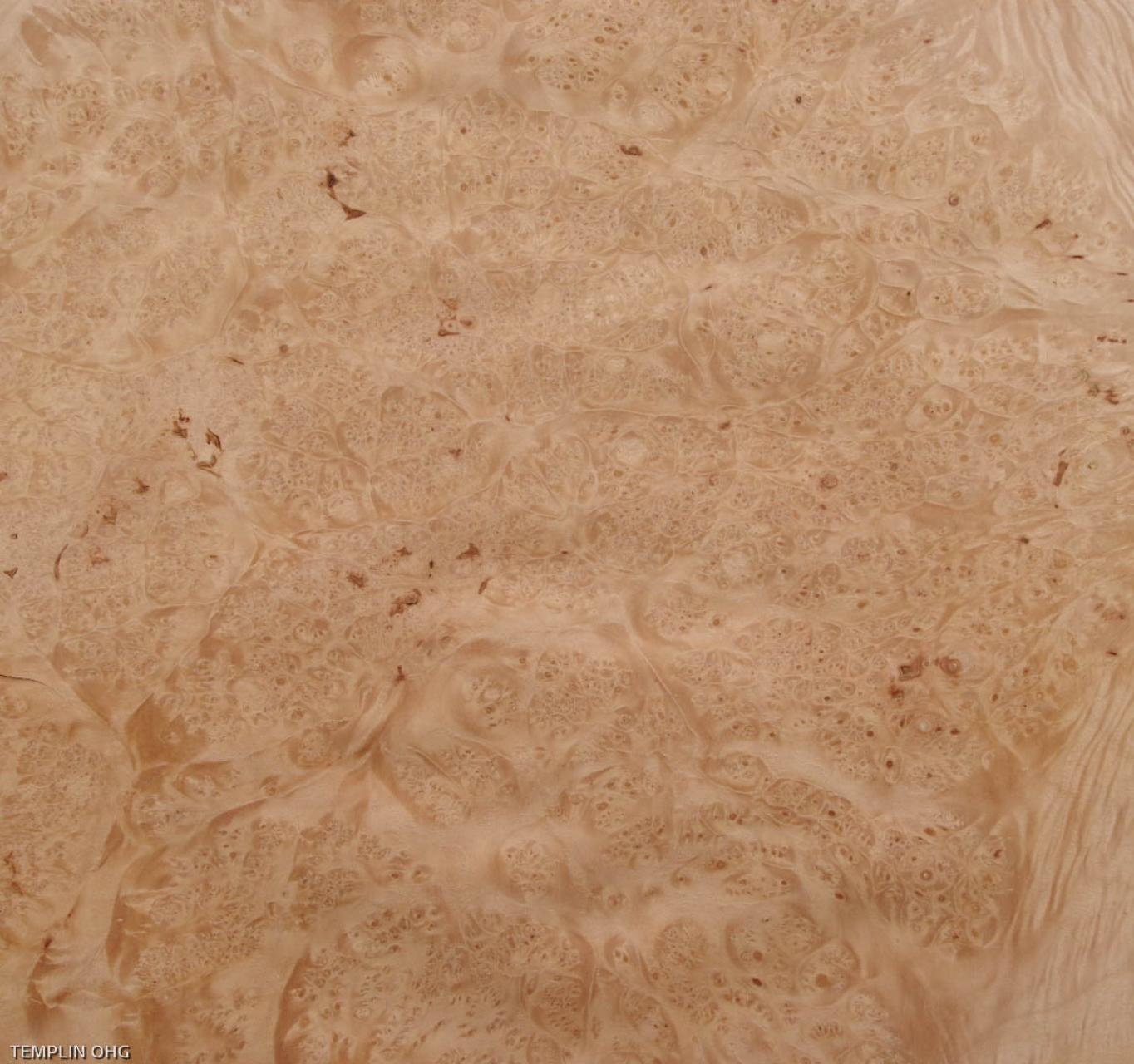 Maple Burl, veneer