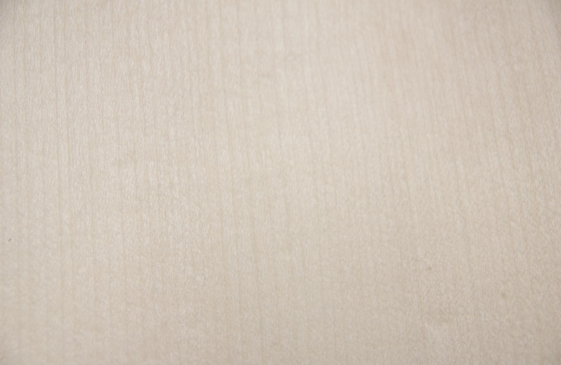 Ahorn, europäischer -Furnier (0,6mm) - 0,29m² (28Stk. x 8cm x 13cm)