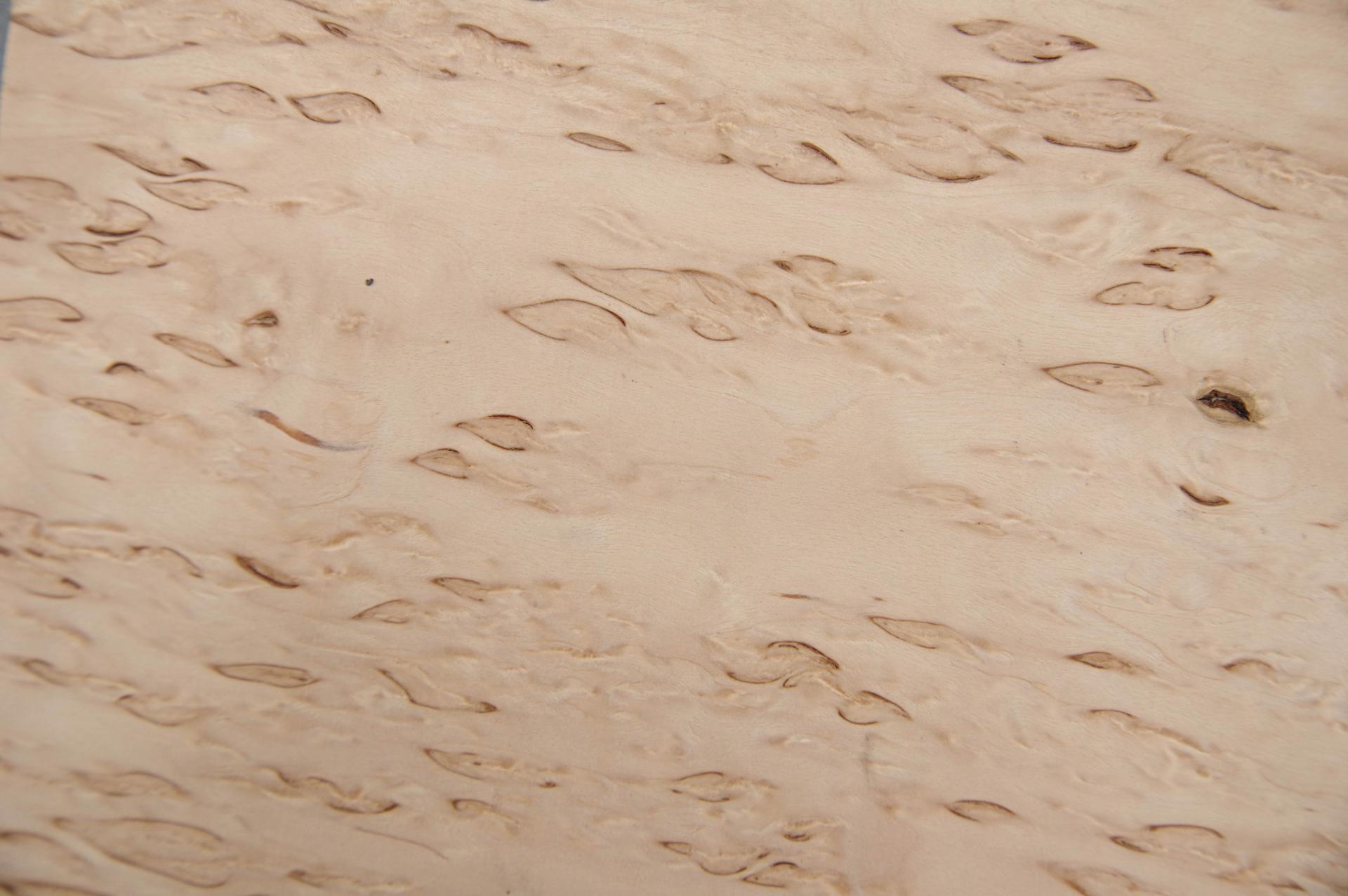 Birke Maser -Furnier (0,6mm) - 0,39m² (7Stk. x 40cm x 14cm)