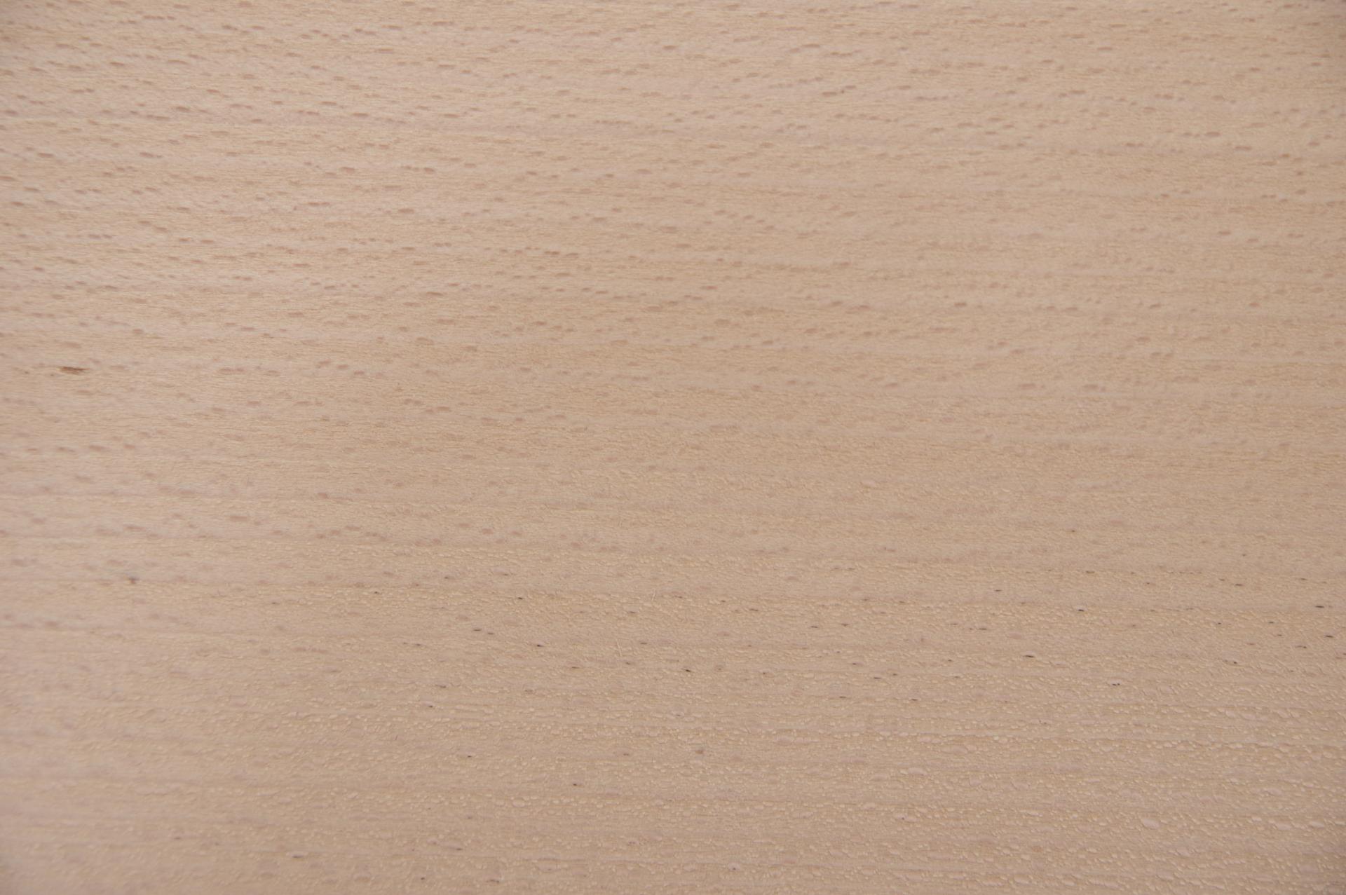 Beech, - veneer (0,6mm) - 4,83m² (24pcs. x 149cm x 13,5cm)