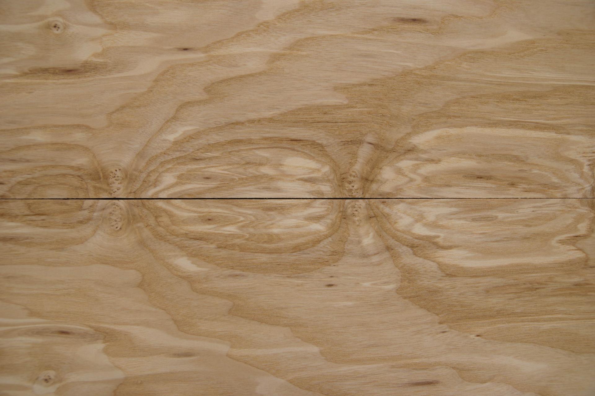 Olive Ash Burl, - veneer (0,6mm) - 1,3m² (7pcs. x 124cm x 15cm)