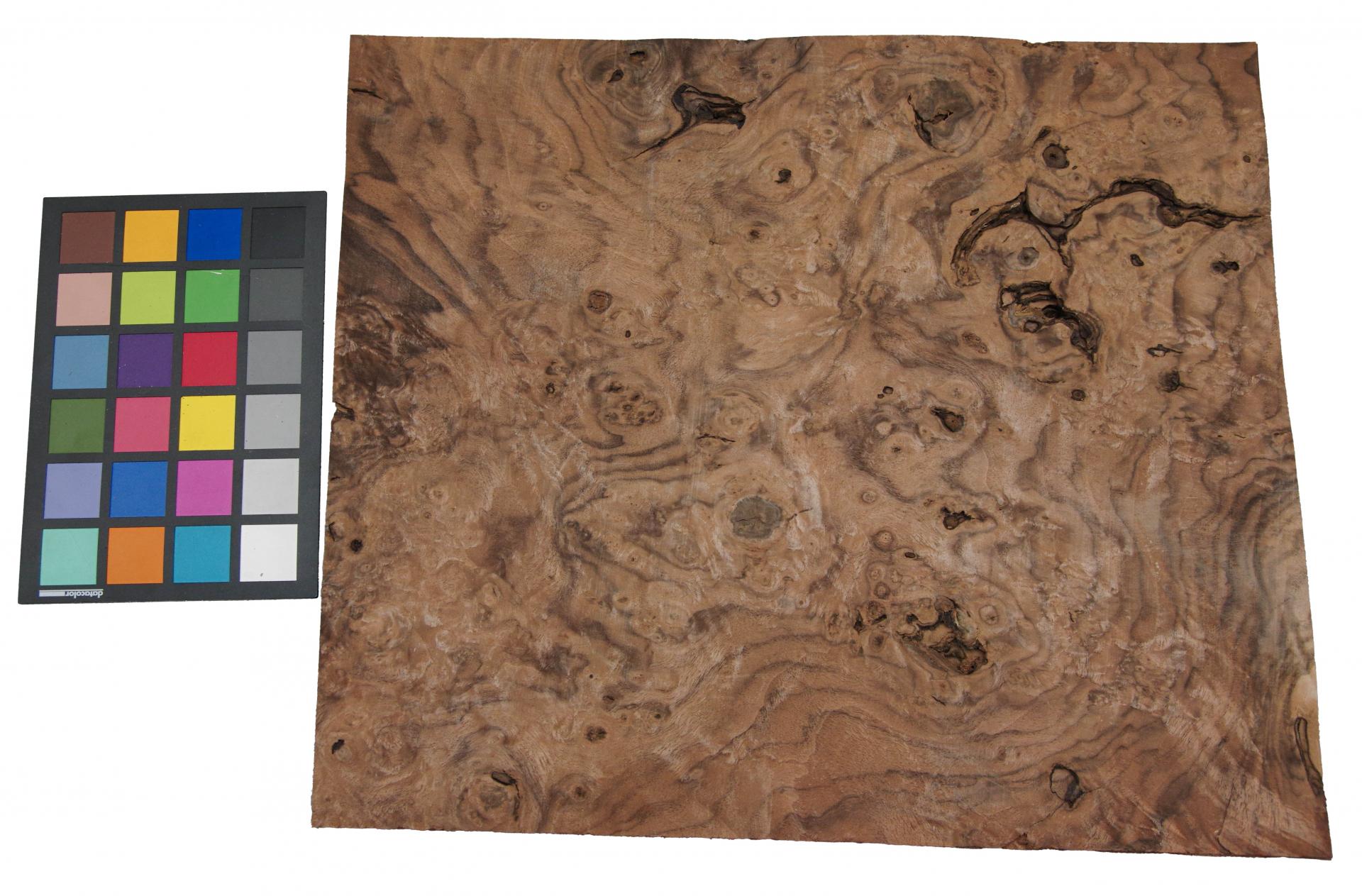 American Black Walnut, - veneer (1,4mm) - 1,39m² (9pcs. x 43cm x 36cm)