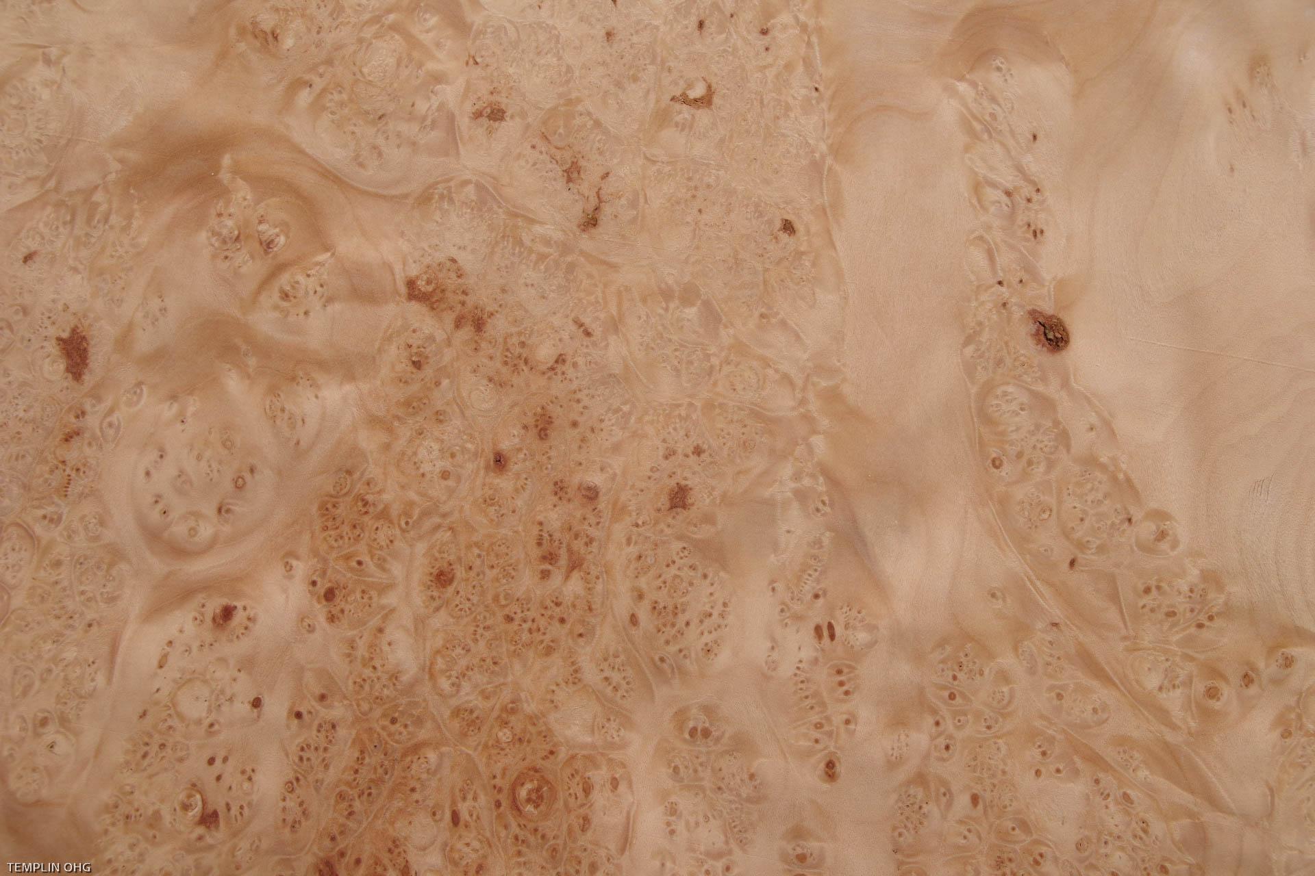 Maple Burl, veneer