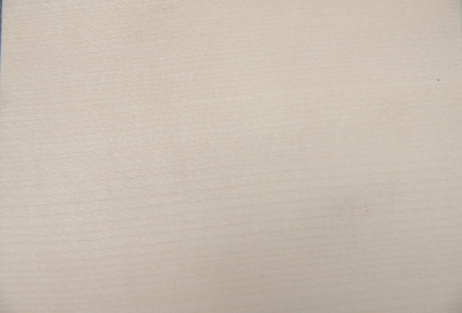 Ahorn, europäischer -Furnier (0,6mm) - 0,42m² (32Stk. x 11cm x 12cm)