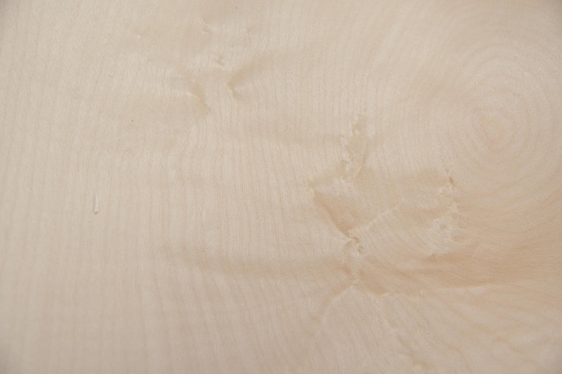 Sycamore, - veneer (0,6mm) - 0,47m² (28pcs. x 12cm x 14cm)
