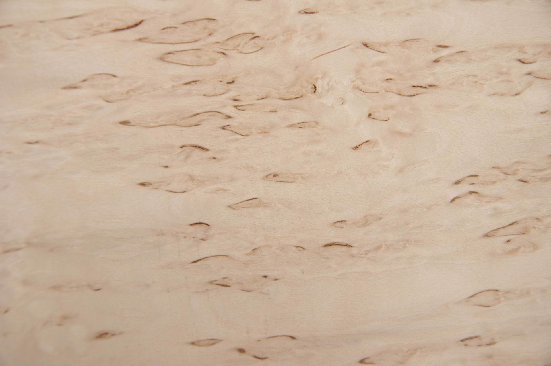 Birke Maser -Furnier (0,6mm) - 0,22m² (8Stk. x 23cm x 12cm)