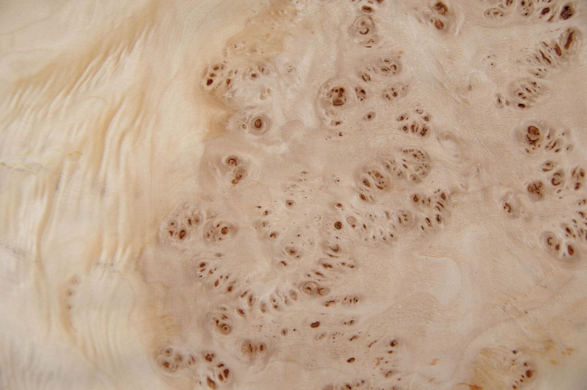 Mapa Burl, - veneer (0,6mm) - 4,1m² (23pcs. x 66cm x 27cm)