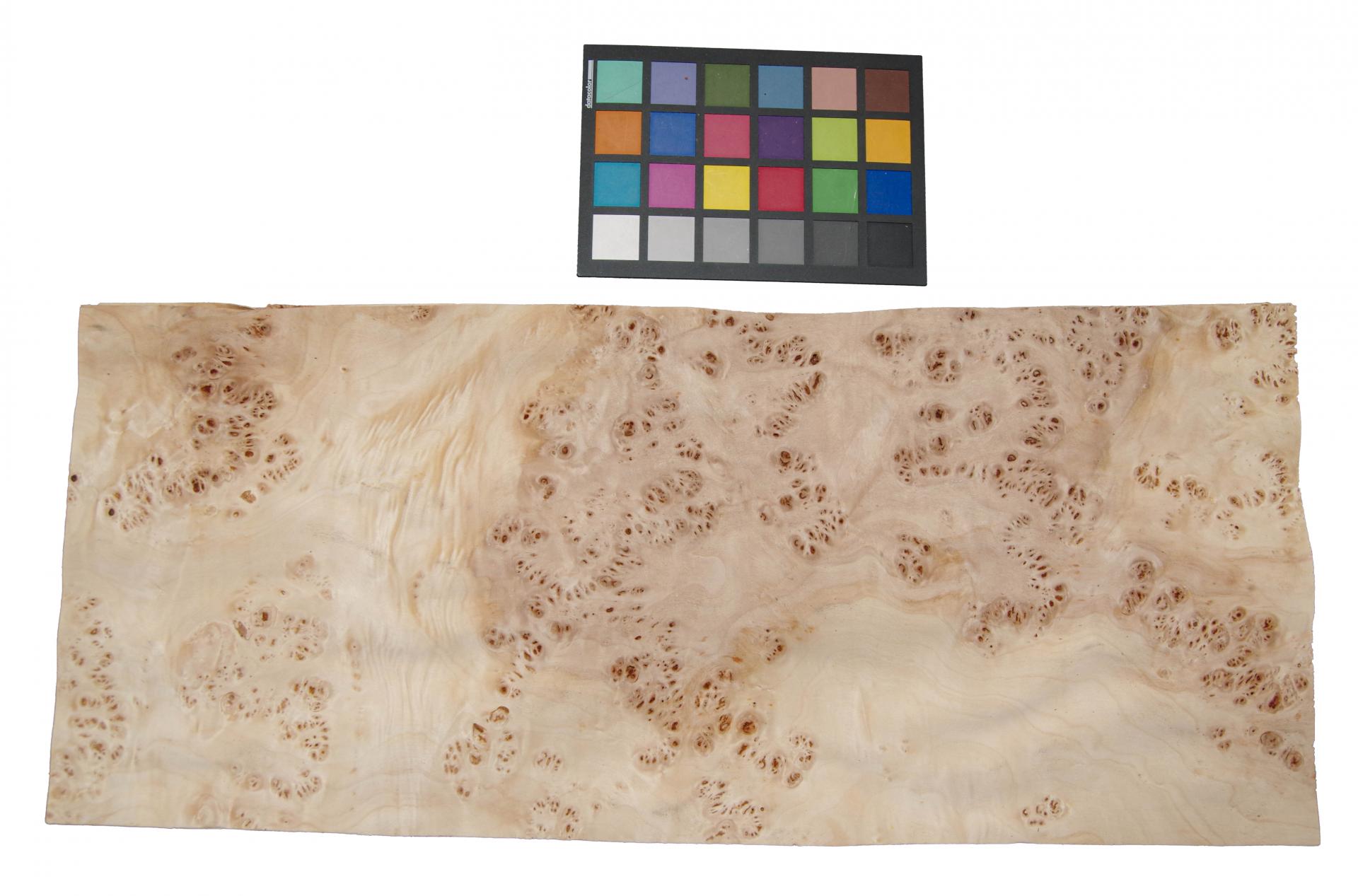Mapa Burl, - veneer (0,6mm) - 4,1m² (23pcs. x 66cm x 27cm)