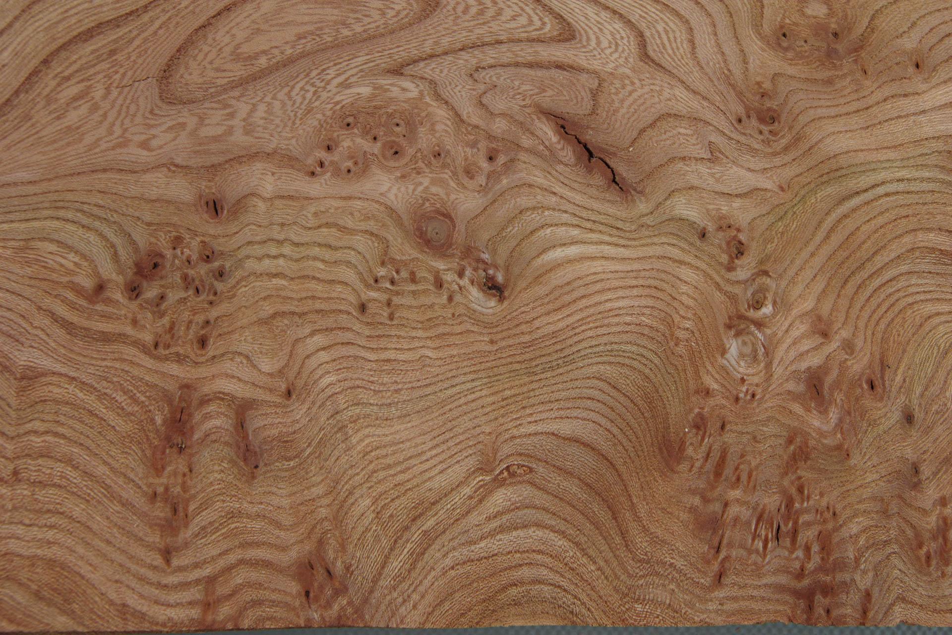 Elm partial Burl, veneer