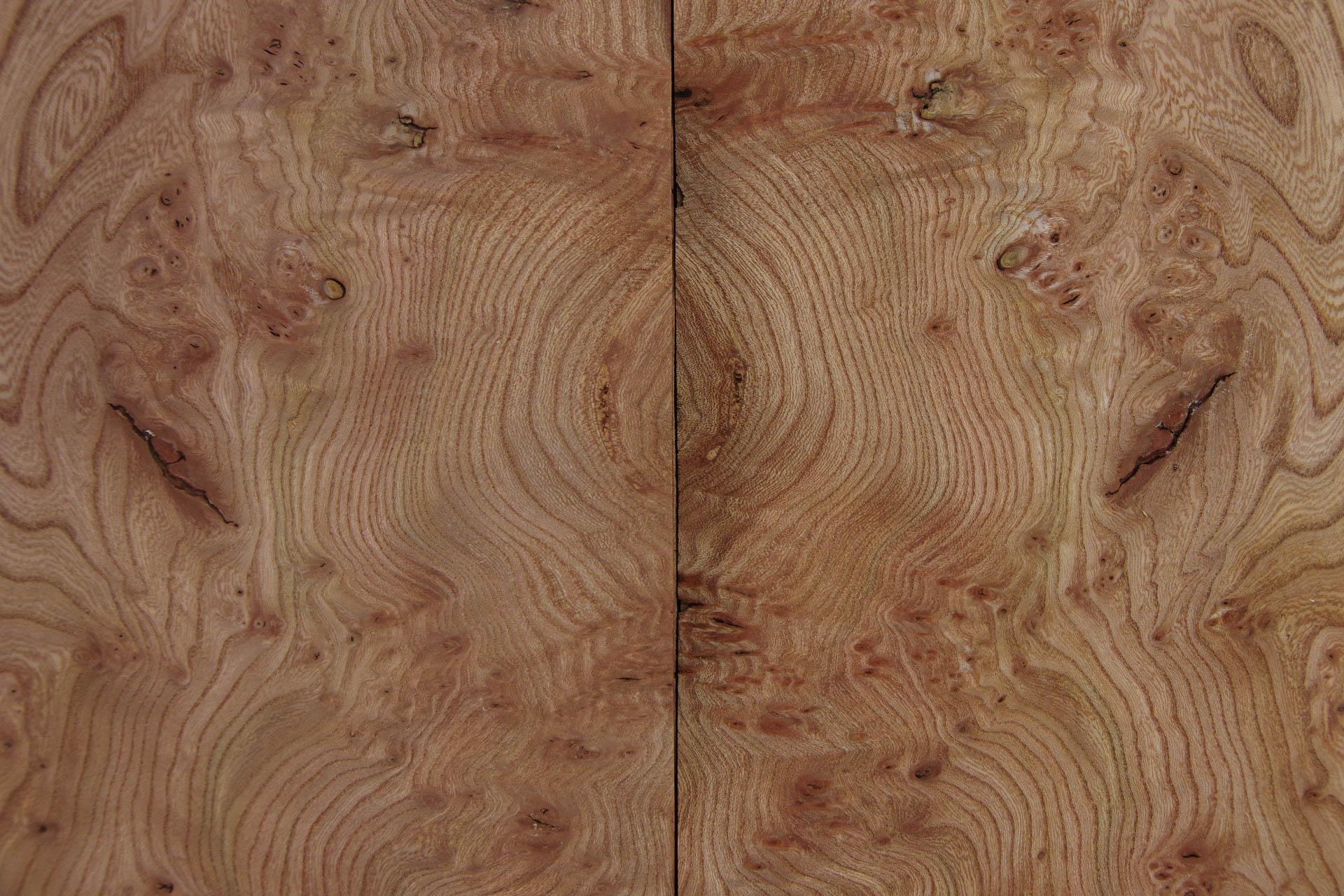 Elm partial Burl, veneer