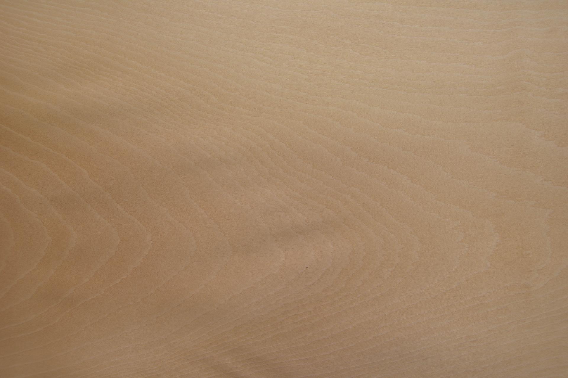 0.6mm Platane Furnier 1.32m² U 4 89 37
