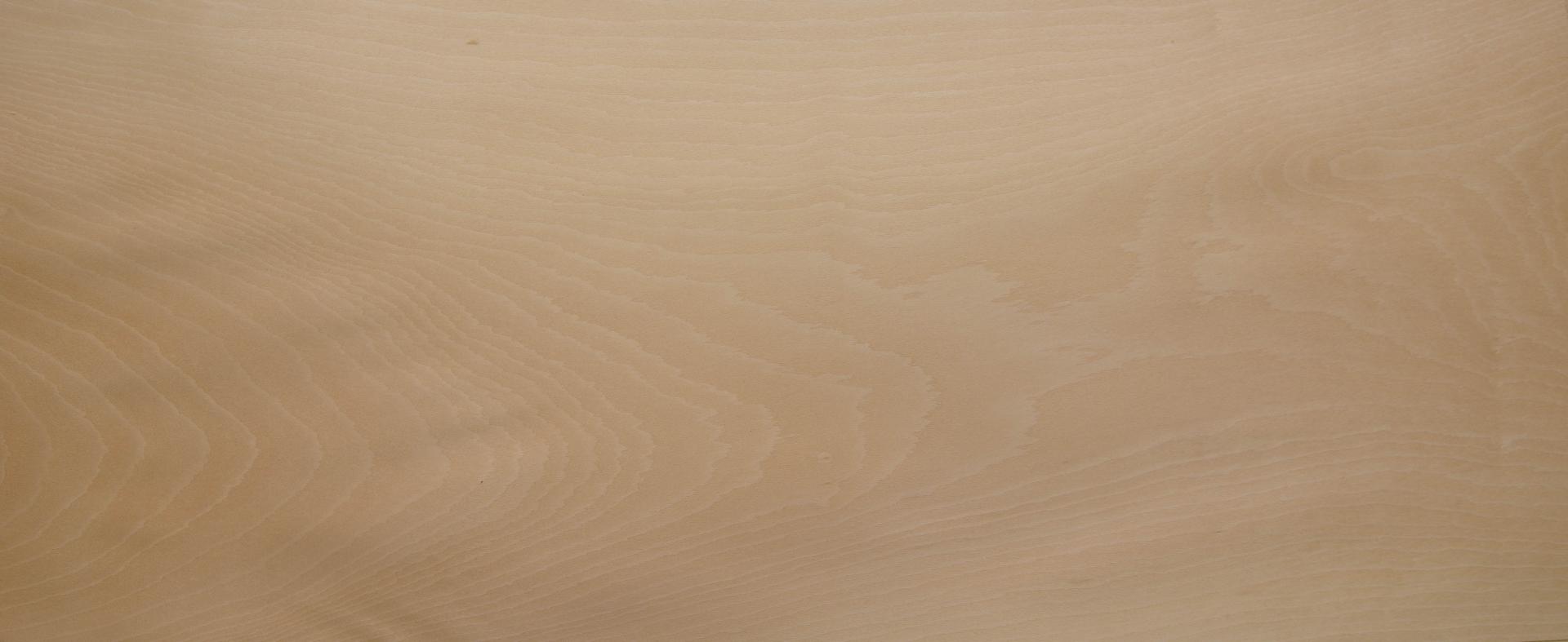 0.6mm Platane Furnier 1.32m² U 4 89 37