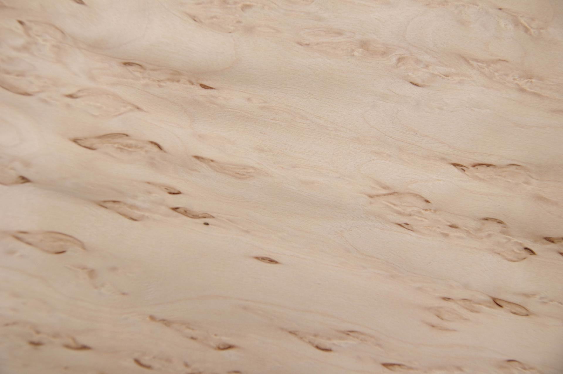 Birke Maser -Furnier (0,6mm) - 0,15m² (6Stk. x 18cm x 14cm)