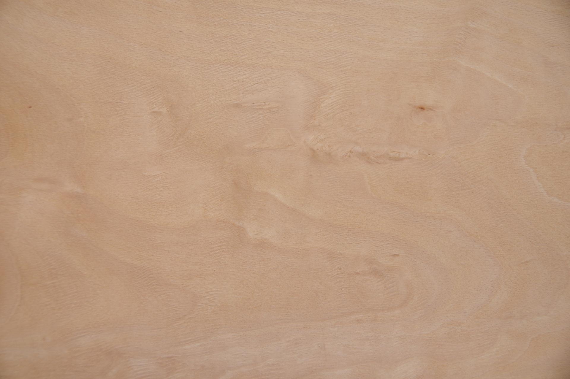 Buche -Furnier (2,4mm) - 0,33m² (5Stk. x 30cm x 22cm)