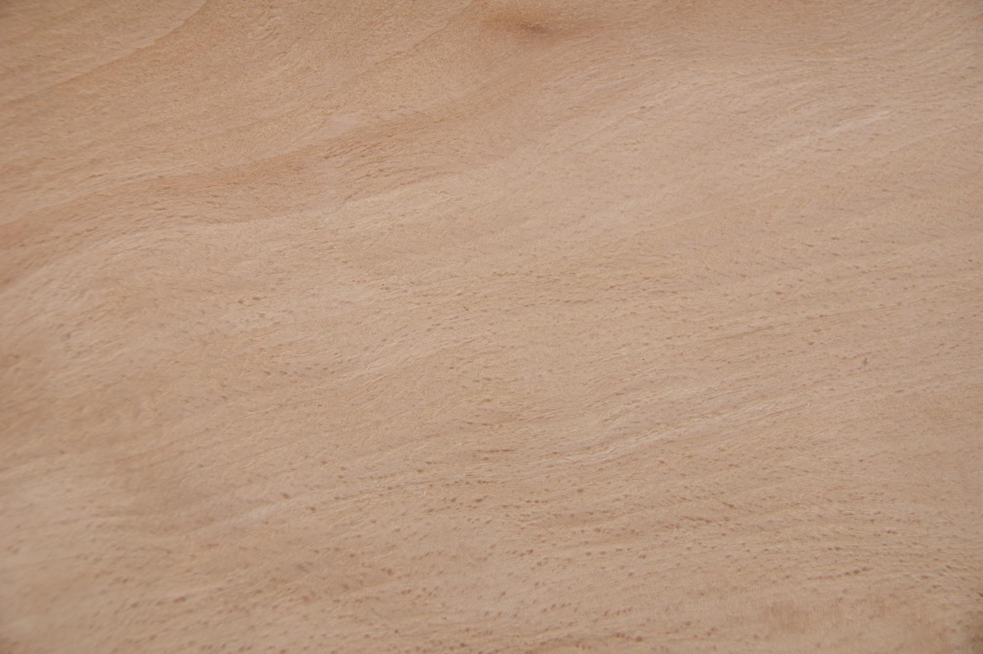 Buche -Furnier (2,4mm) - 0,2m² (6Stk. x 20cm x 17cm)