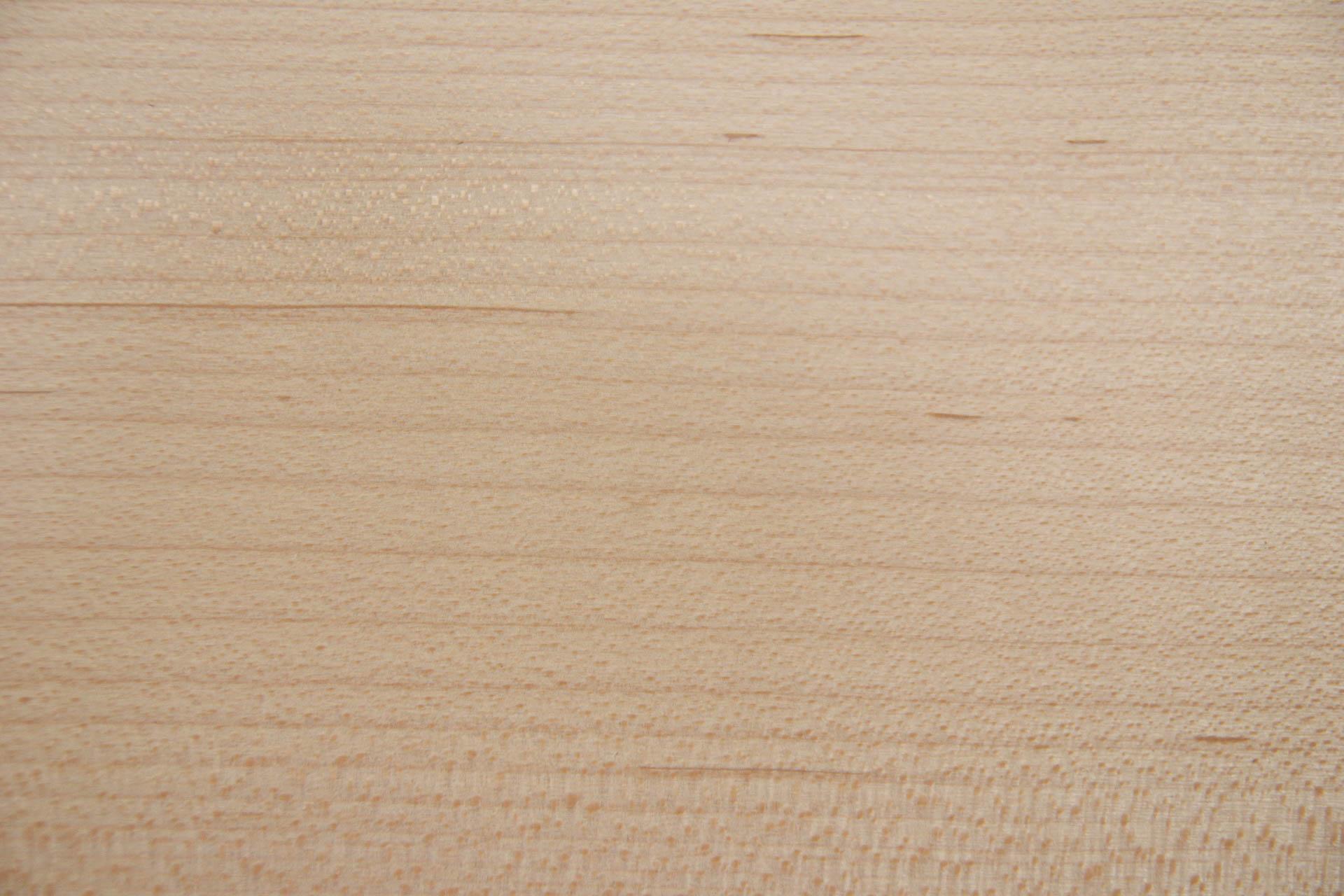 Ahorn, amerikanischer (Hard Maple) Furnier