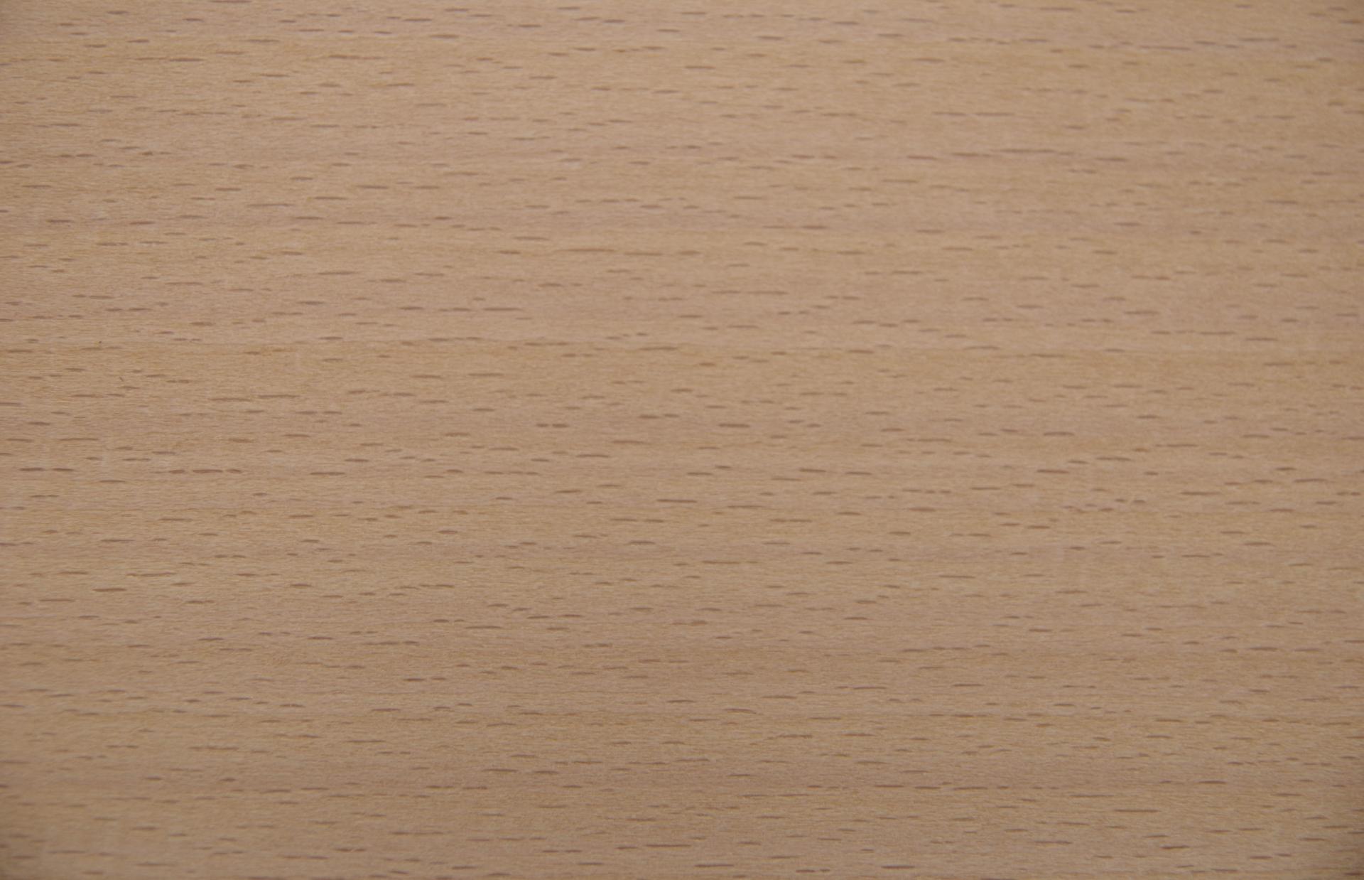 Beech, - veneer (0,6mm) - 1,9m² (16pcs. x 108cm x 11cm)
