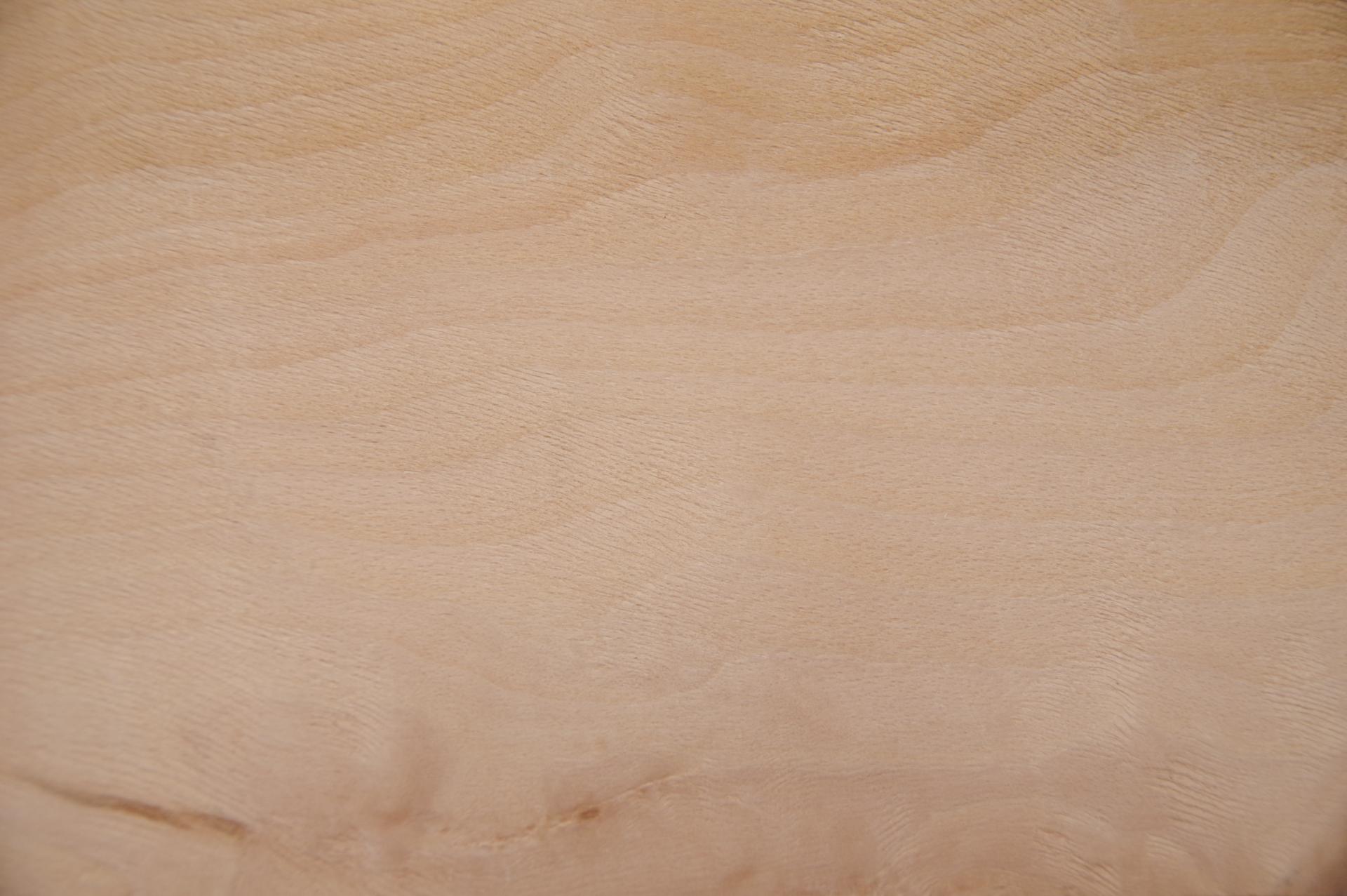 Buche -Furnier (2,4mm) - 0,44m² (8Stk. x 34cm x 16cm)