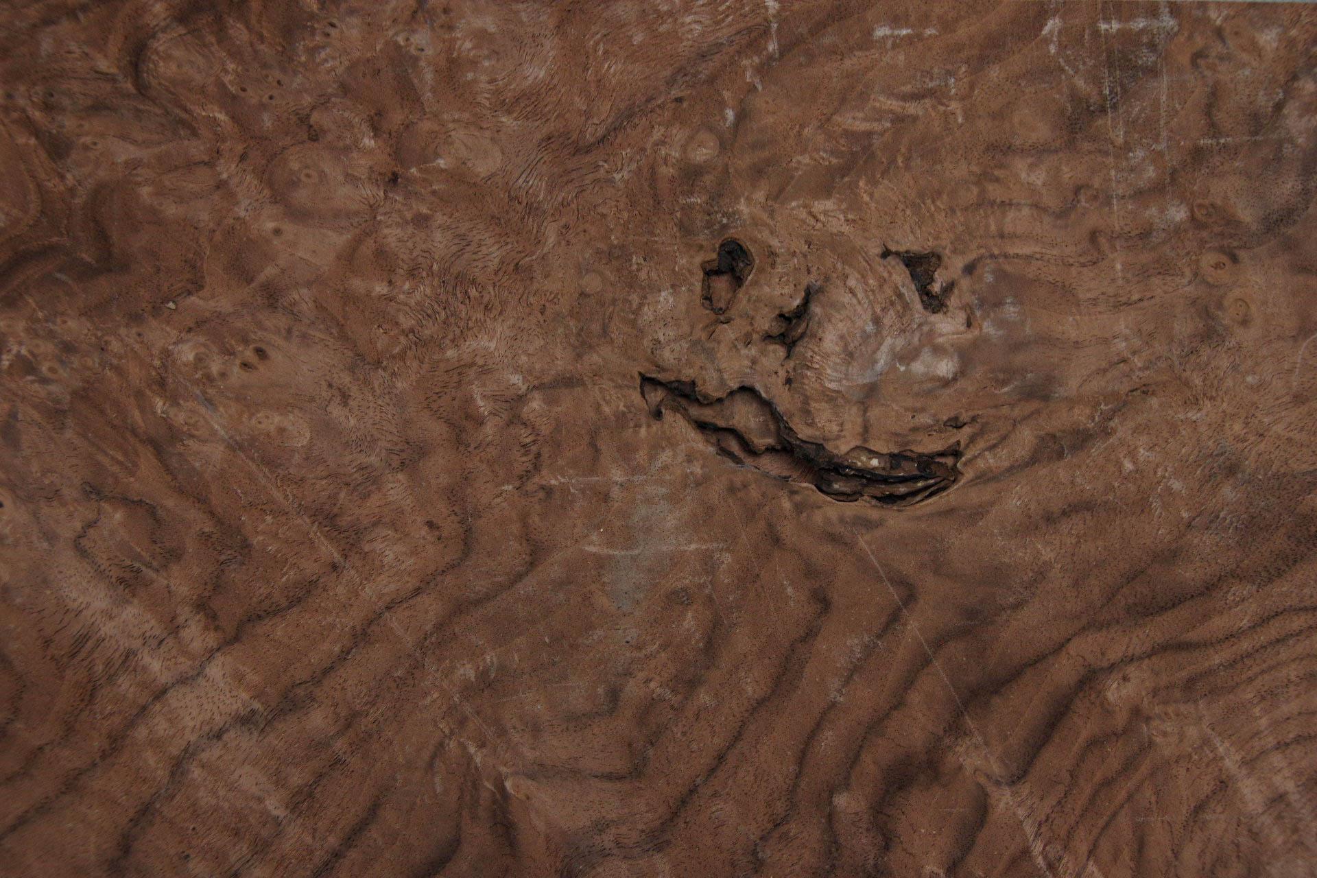 Californian Walnut Burl, - veneer (1,8mm) - 0,73m² (8pcs. x 38cm x 24cm)