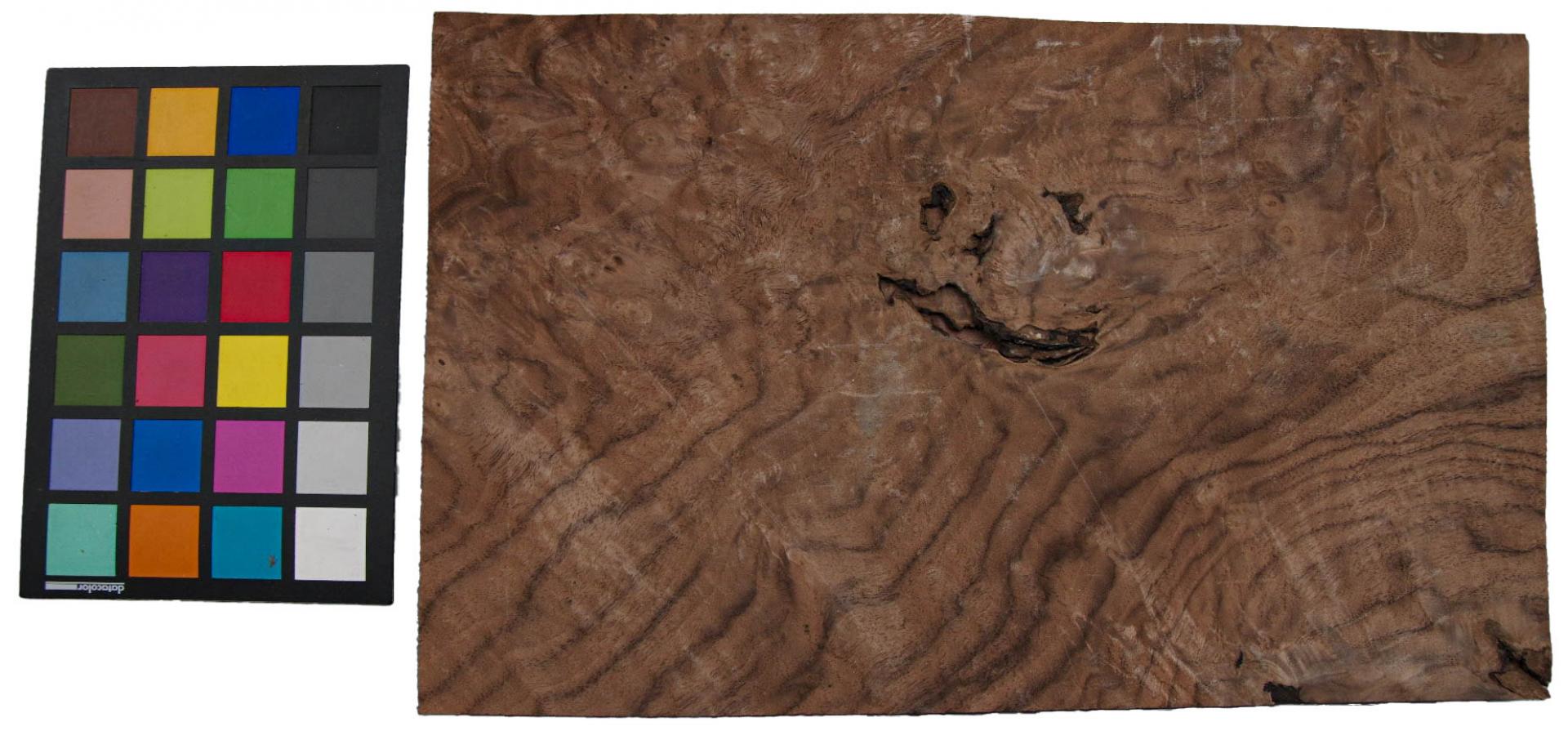 Californian Walnut Burl, - veneer (1,8mm) - 0,73m² (8pcs. x 38cm x 24cm)