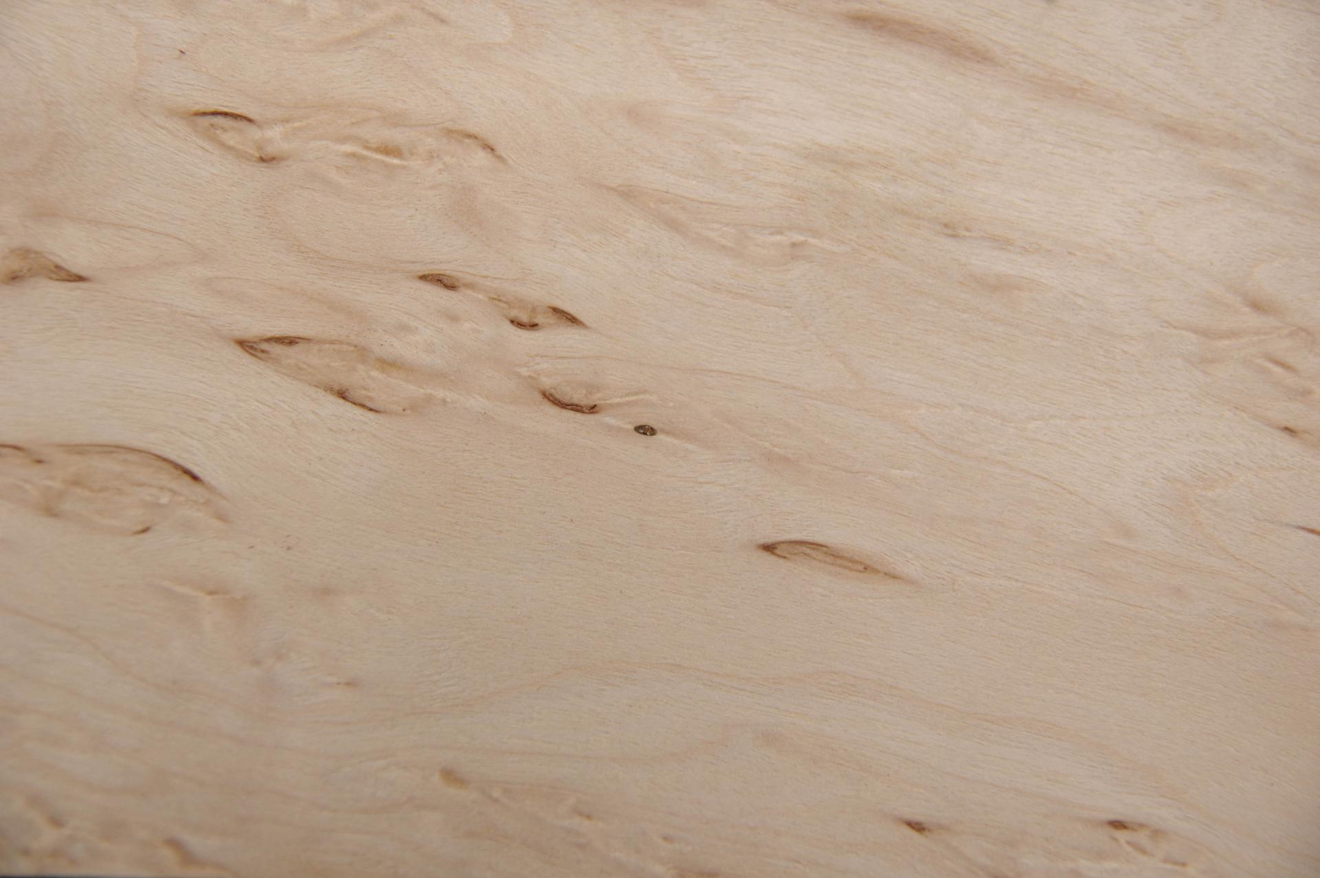 Birke Maser -Furnier (0,6mm) - 0,06m² (4Stk. x 18cm x 8cm)