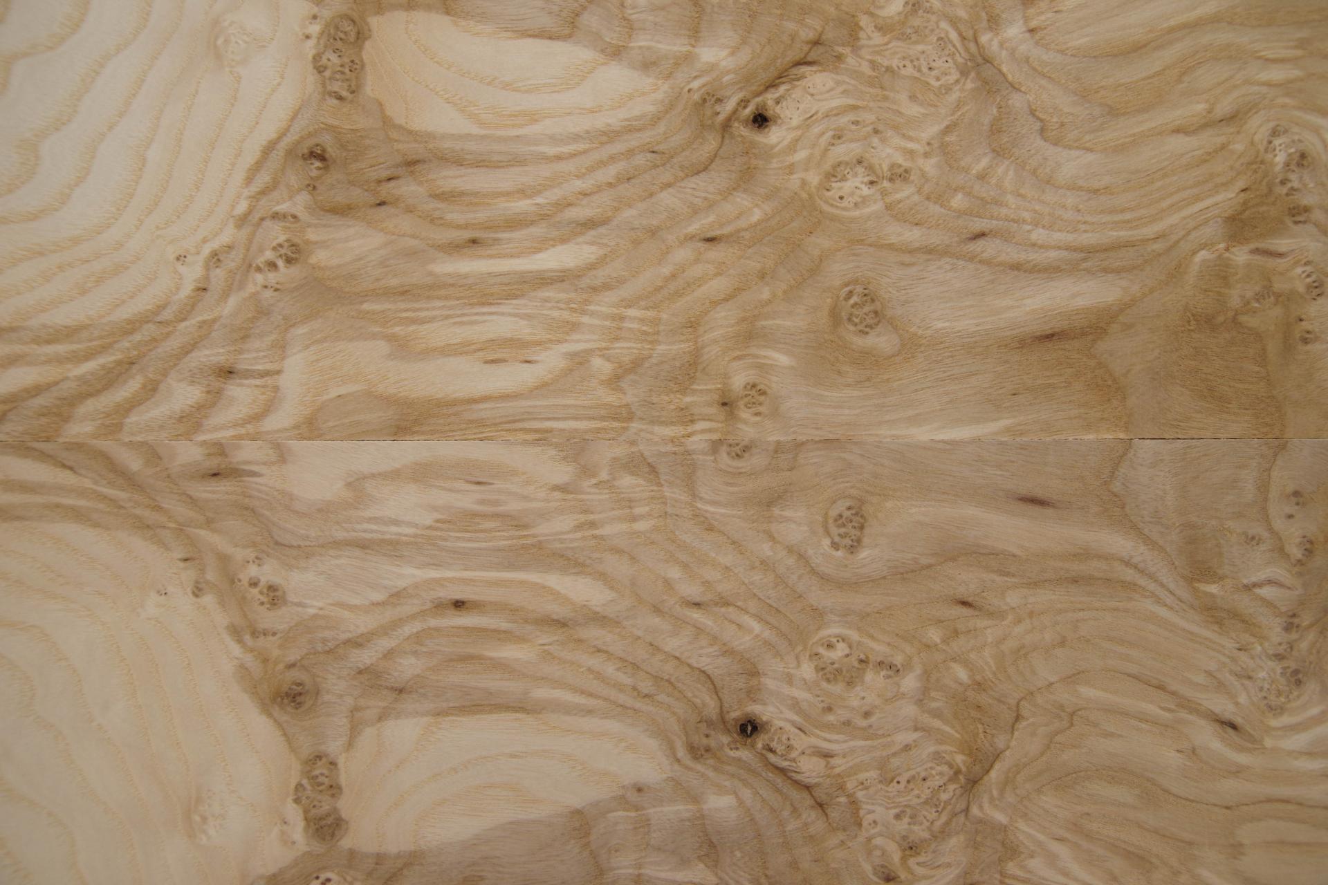 Esche Maser; oliv -Furnier (0,6mm) - 0,87m² (6Stk. x 97cm x 15cm)