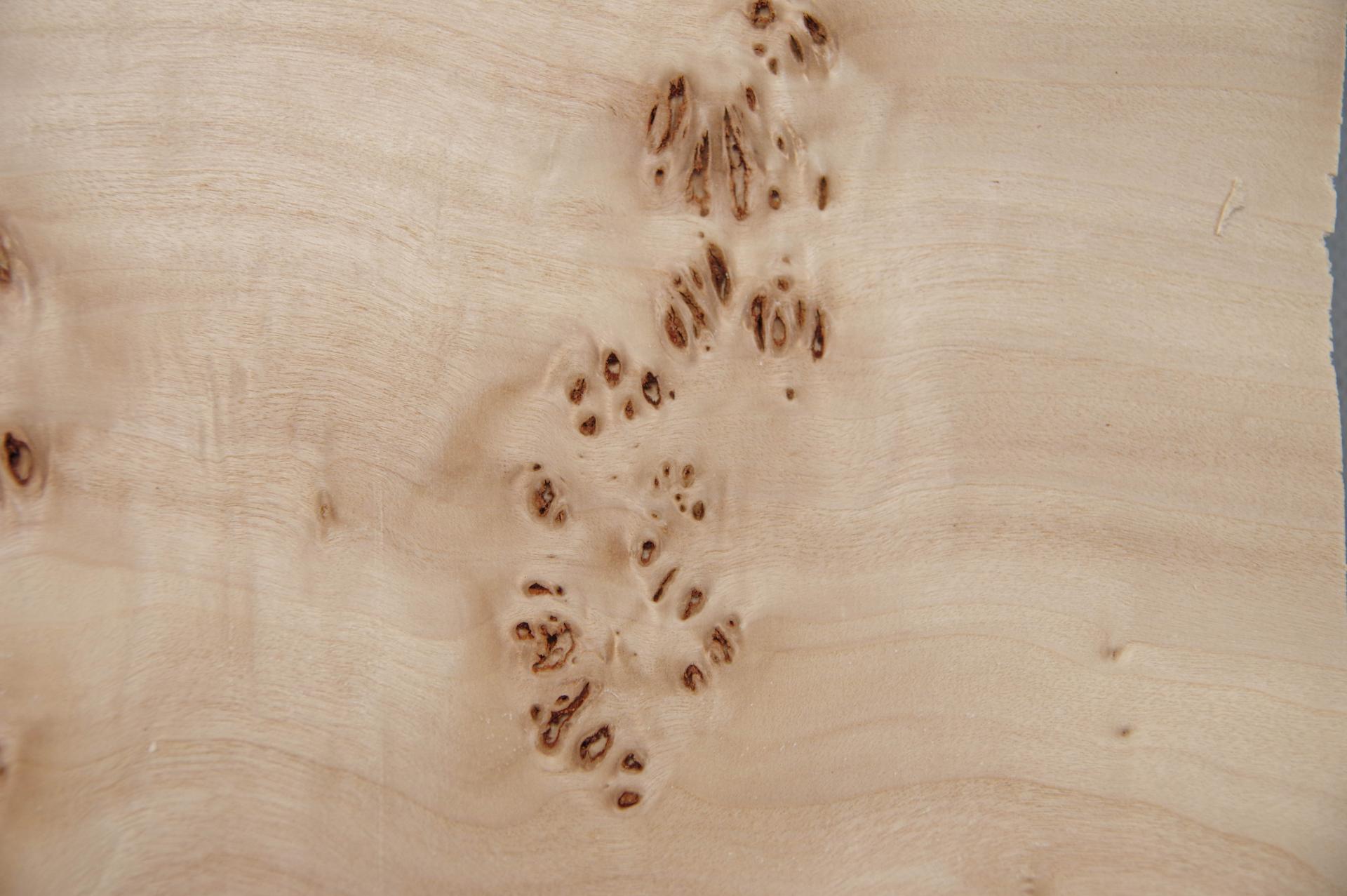 Pappel Maser (Mapa) -Furnier (0,6mm) - 1,21m² (24Stk. x 18cm x 28cm)