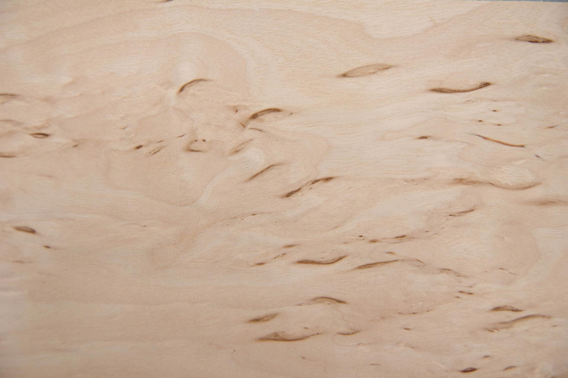 Karelian Birch; Birch Burl, - veneer (0,6mm) - 0,35m² (8pcs. x 44cm x 10cm)