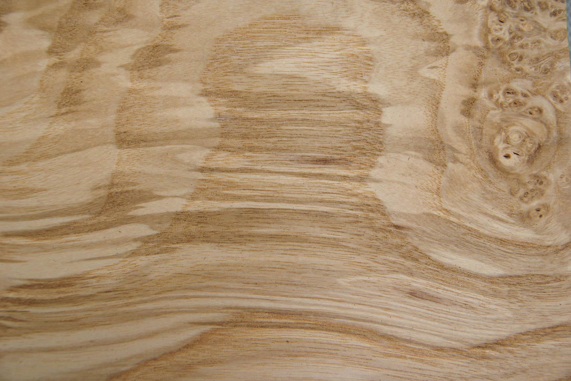 Esche Maser; oliv -Furnier (0,6mm) - 0,91m² (15Stk. x 32cm x 19cm)