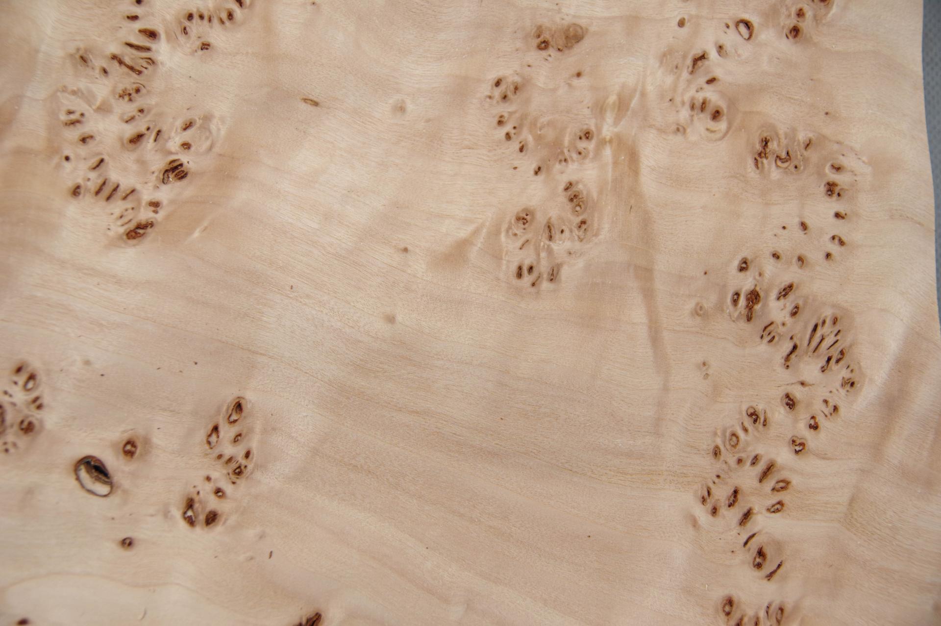 Pappel Maser (Mapa) -Furnier (0,6mm) - 1,74m² (24Stk. x 25cm x 29cm)