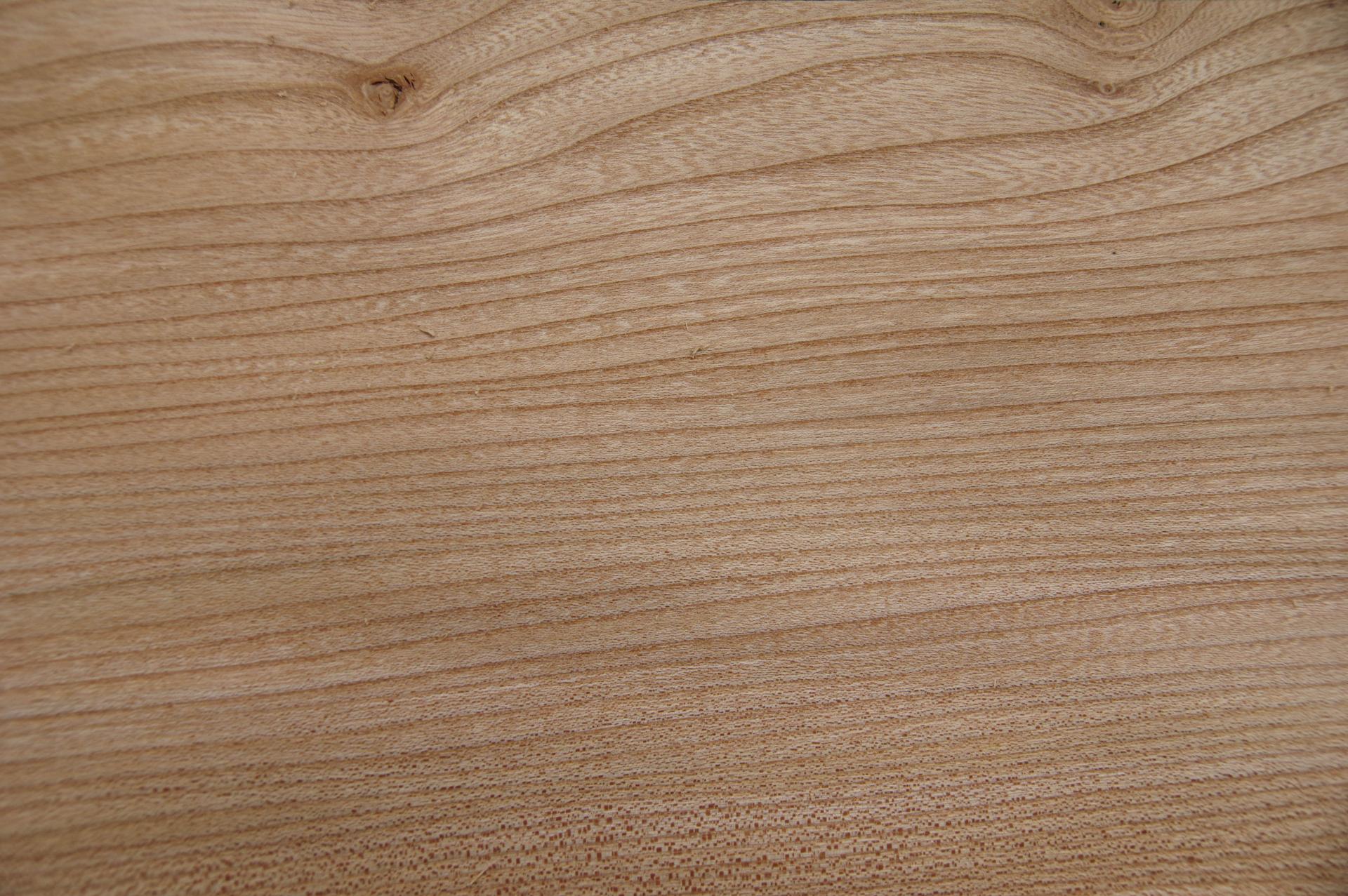 Rüster (Ulme) -Furnier (0,6mm) - 1,67m² (16Stk. x 55cm x 19cm)