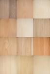 Echtholz-Furniermuster-Set  mit 12 europäischen Holzarten