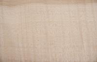 Ahorn Riegel, amerikanischer (Hard Maple) -Furnier (0,6mm) - 2,43m² (29Stk. x 67cm x 12,5cm)