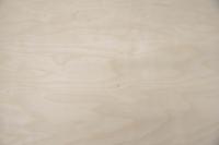 Birch, - veneer (0,6mm) - 5,87m² (18pcs. x 133cm x 24,5cm)