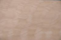 Buche -Furnier (0,6mm) - 2,44m² (24Stk. x 70cm x 14,5cm)