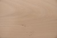 Buche -Furnier (0,6mm) - 6,59m² (24Stk. x 196cm x 14cm)