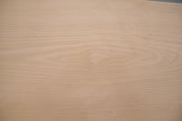 Buche -Furnier (2,4mm) - 3,64m² (7Stk. x 106cm x 49cm)