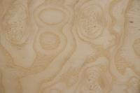 Esche Maser; oliv -Furnier (0,6mm) - 0,9m² (4Stk. x 113cm x 20cm)