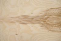 Olive Ash Burl, - veneer (0,6mm) - 1,84m² (15pcs. x 79cm x 15,5cm)